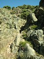 2014 Edinburgh 2014-07-09 076